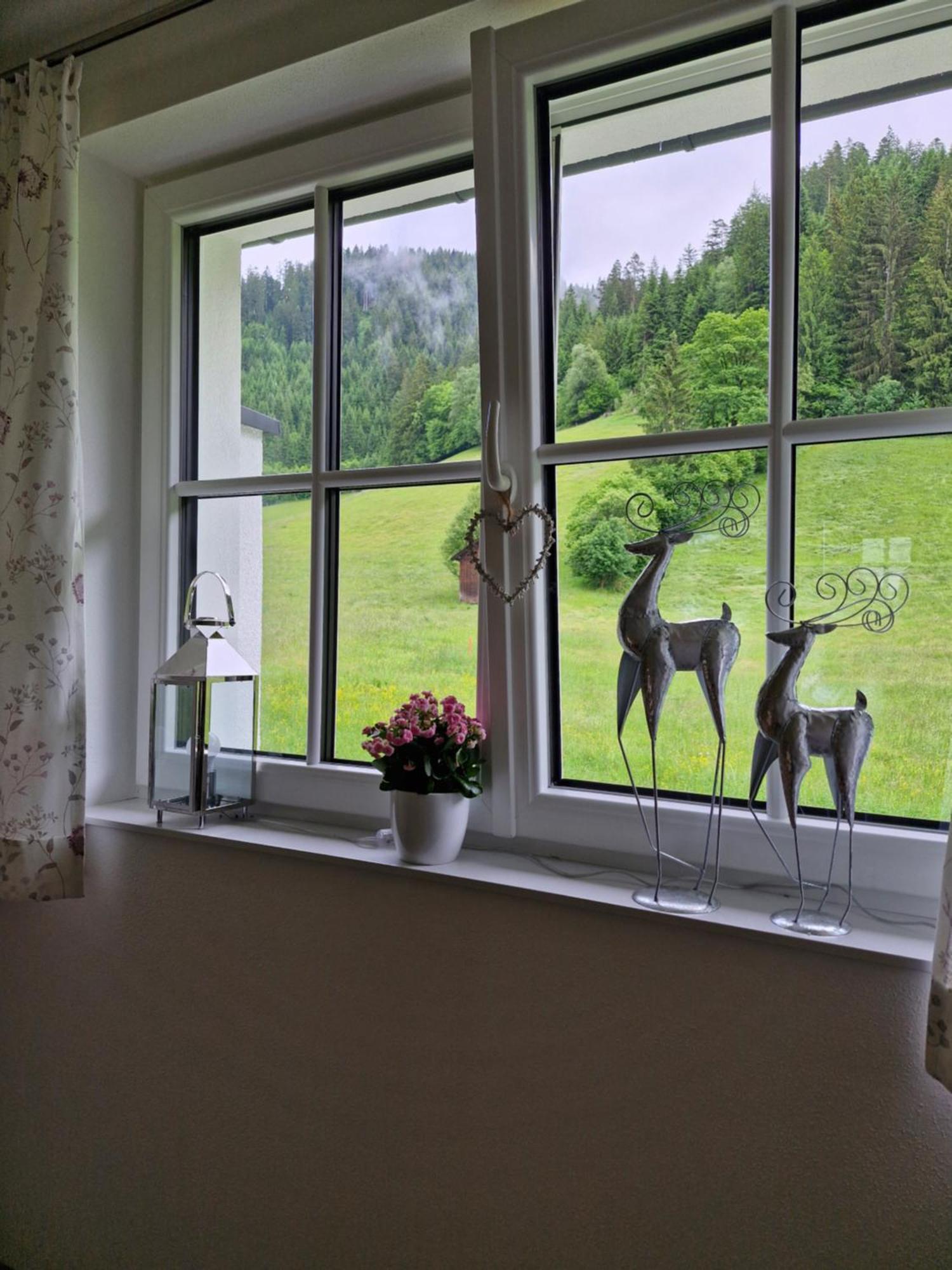 Apartment Feine Bleibe Eben Im Pongau