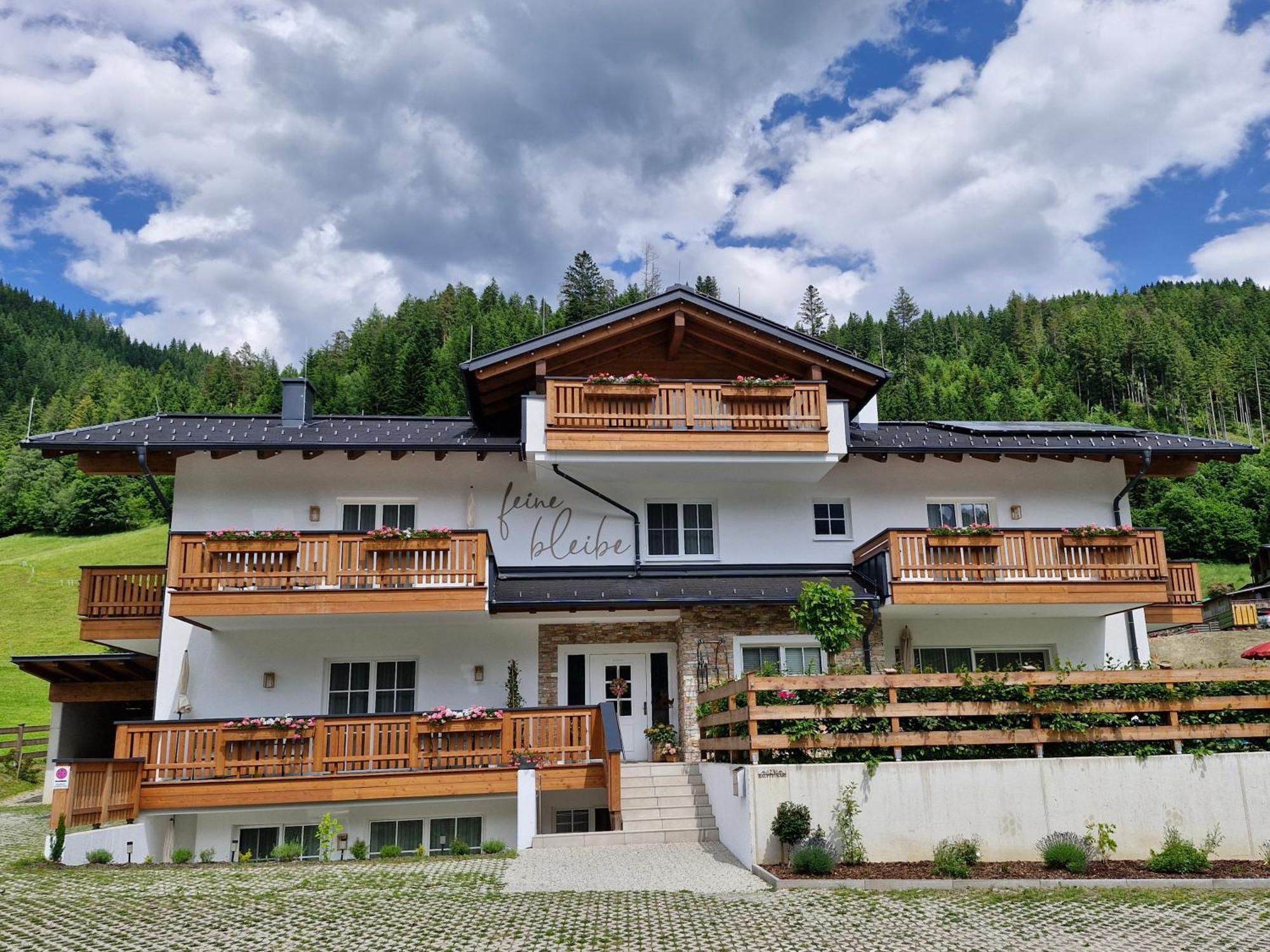 Apartment Feine Bleibe Eben Im Pongau